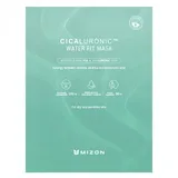 Mizon Cicaluronic Water Fit Mask 24 g