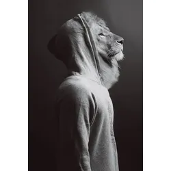 Glasbild LÖWE IM HOODIE - schwarz