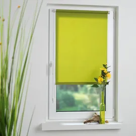 LIEDECO Seitenzugrollo Klemmfix 45 x 150 cm grün