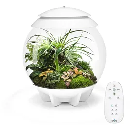 biOrb 71748 AIR 30 weiß - automatisiertes Terrarium mit LED-Beleuchtung, Acryl-Becken zur Pflanzenpflege, für empfindliche und exotische Pflanzen