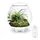 biOrb 71748 AIR 30 weiß - automatisiertes Terrarium mit LED-Beleuchtung, Acryl-Becken zur Pflanzenpflege, für empfindliche und exotische Pflanzen