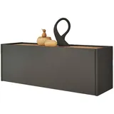 furn.design Center Hängeschrank 100 x 35 x 30 grau