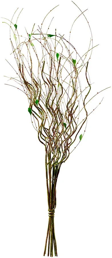Rebenbund 77cm mit Blättern