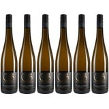 6x Müller Thurgau -Réserve-, 2017 - Weingut Schneiderfritz, Pfalz! Wein