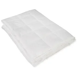 Traumschloss Sommernachtstraum Premium Daunenbettdecke leicht 200 x 200 cm Sommerbettdecke - Weiß