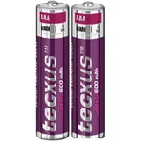 2 x Tecxus Akkus Accus AAA Micro 600 mAh NiMH 1,2V aufladbare Telefon Batterien