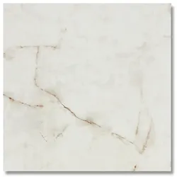 Musterfliese Belvit Latina Beige Marmor Glanz 60x60cm