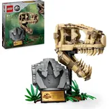 LEGO Jurassic World Dinosaurier-Fossilien: T.-rex-Kopf