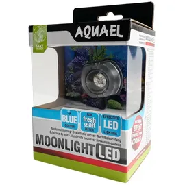 AquaEl Mondlicht 1W Blau