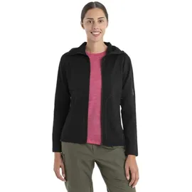 Icebreaker Realfleece Hoodie Schwarz L