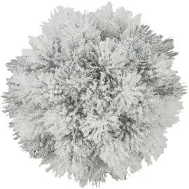 Europalms Pinienkugel, beflockt, 15cm
