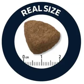 Advance Peripherals Adult Maxi 14 kg