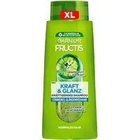 Garnier Fructis Kraft & Shampoo