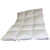 Betten Hofmann Luxus Winter Daunenbett Daunendecke 135x200 cm 3x4 Karo super warm