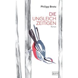 Die Ungleichzeitigen - Philipp Brotz, Gebunden