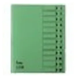 BENE Ordnungsmappe 12 Fächer grün