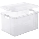 Rotho Aufbewahrungsbox Agilo A3 59 x 39 x 31 cm 1-tlg. transparent