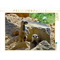 Calvendo Puzzle Erdmännchens Kinderstube 1000 Teile Puzzle quer |