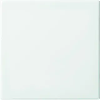 Busch-Jaeger Wippe 2506-914