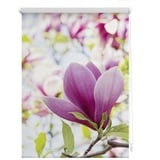 Lichtblick Rollo Klemmfix, ohne Bohren, blickdicht, Magnolie rosa 45 x 150 cm