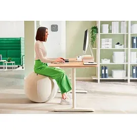 Leitz Ergo Active Sitzball hellgrau 65,0 cm