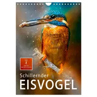 Calvendo Schillernder Eisvogel (Wandkalender 2026 DIN A4 hoch), CALVENDO
