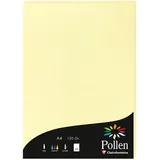 Pollen 10x Papier A4 Pollen 120g 50 Blatt - Kanariengelb 4207C