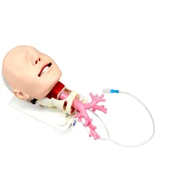 Simulator für schwieriges Atemwegsmanagement für die Fiberbronchosskopie