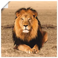 ARTland Artland, Löwe T5RJ (40x40 cm)