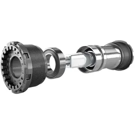 Thun Efficient Zumba