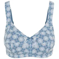 SUSA Minimizer-BH in Blau - 80B
