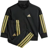 adidas Essentials Climacool Trainingsanzug Black / Gold Met. 74