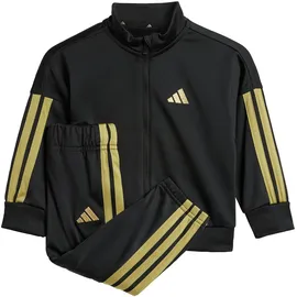 adidas Essentials Climacool Trainingsanzug Black / Gold Met. 74