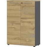 GERMANIA Aktenschrank Agenda Home, 4232-564 grafit, grandson-eiche 2 Fachböden 80,0 x 120 cm x 120,0 cm