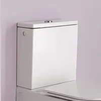 Laufen Pro Spülkasten H8299520009721,