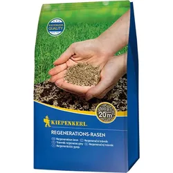 Kiepenkerl Regenerations-Rasen 500 g Rasen Rasenmischung Rasensamen
