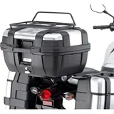 Givi 1111FZ