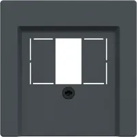 Merten Zentralplatte für TAE/Audio/USB, anthrazit 297914