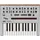 Korg Monolog monophoner Analogsynthesizer mit Voreinstellungen silber