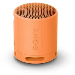 Sony SRSXB100D