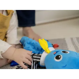 Baby Einstein 12101 Opus's Look Sea Listen, Musikspielzeug und Plüsch-Krake spielt 10 Melodien, multisensorisch, mit unterschiedlichen Strukturen, fördert den Tastsinn, Mehrfarbig, 90 g