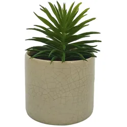 Kunstpflanze 14 cm Kunststoff Grün