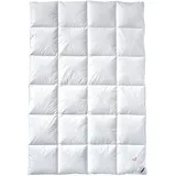 Billerbeck Daunendecke - E04 Gold Edition - Bettdecke für den Winter - 135 x 200 cm Decke mit echten Daunen - Wärmestufe Warm +