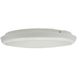 ChiliTec SALAO 22 WW 22W rund IP54