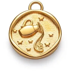 PAUL HEWITT - ANHÄNGER - CHARM - Aquarius -  gold