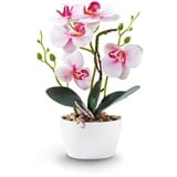 Qucover Orchideen Künstlich Rosa 31cm Künstliche Orchideen im Topf Klein Kunstpflanze Orchidee Wie Echt mit Weißen Keramiktöpfen für Tischdeko Wohnzimmer Badezimmer