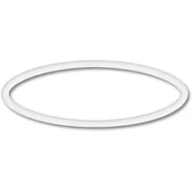 Wiltec Poolpumpe schwarz O-Ring 1