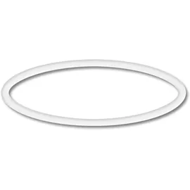Wiltec Poolpumpe schwarz O-Ring 1
