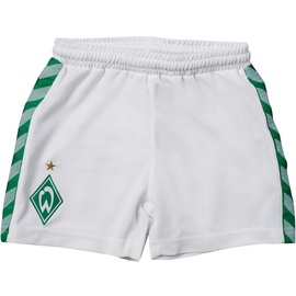 hummel Werder Bremen 23-24 Heim Teamtrikot Kinder grün,