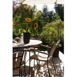 Cinas Gartenstuhl Ellen 58,5 x 56,5 x 78 cm dunkelgrau 1 St.